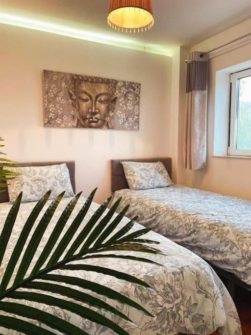 Вилла Casa Estrela Alvaiazere Экстерьер фото